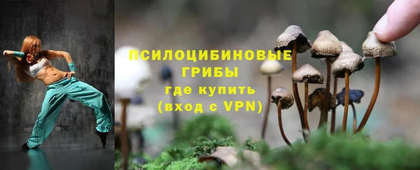 apvp Аркадак