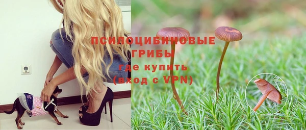 стаф Баксан