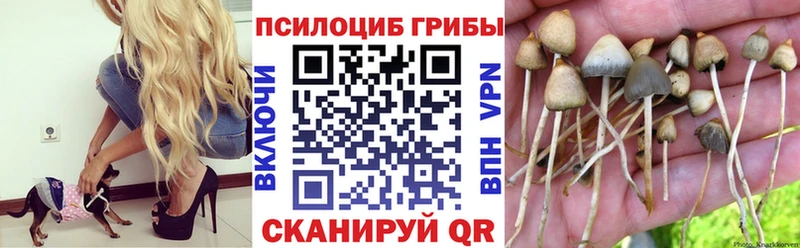 Галлюциногенные грибы прущие грибы  Болгар 